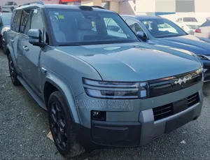 New BYD Leopard 7 2025 Blue