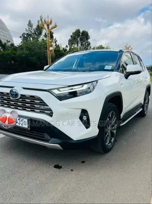 Toyota RAV4 2024 White