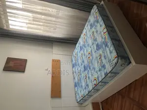 Furnished 1bdrm Apartment in Bole for rent