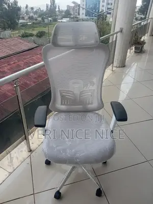Ofice Chairs
