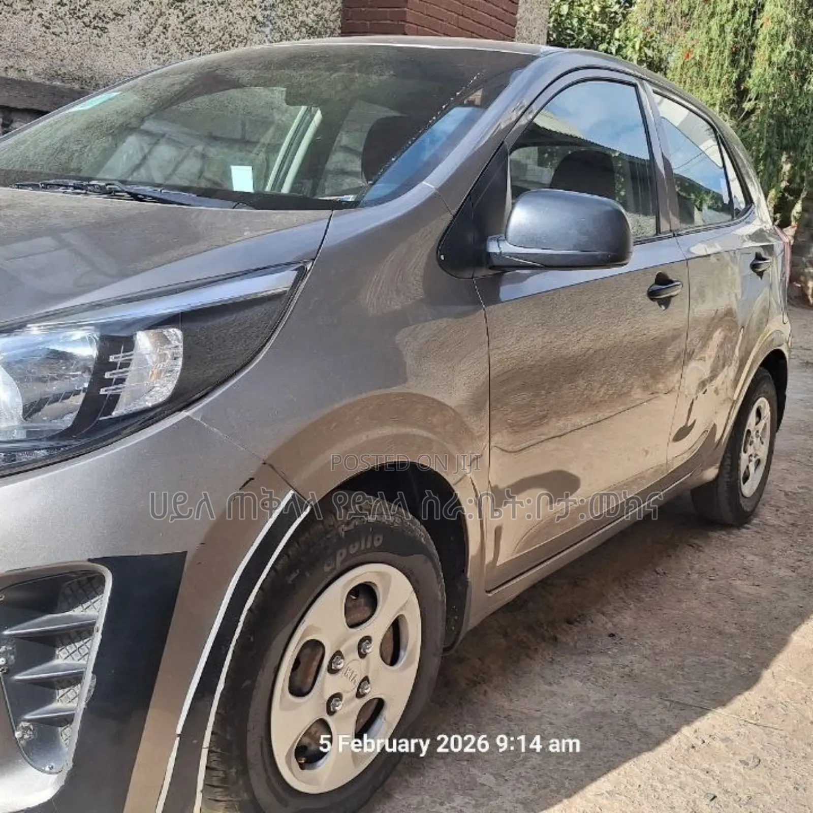 Kia Picanto 2020 Teal