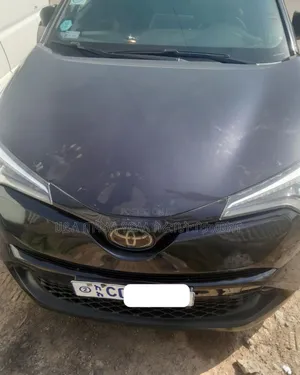Toyota C-HR 2019 Maroon