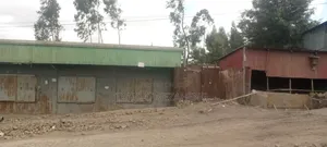 Legetafo Mission Police Tabya Digital Karta