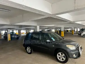 Toyota RAV4 2005 Gray