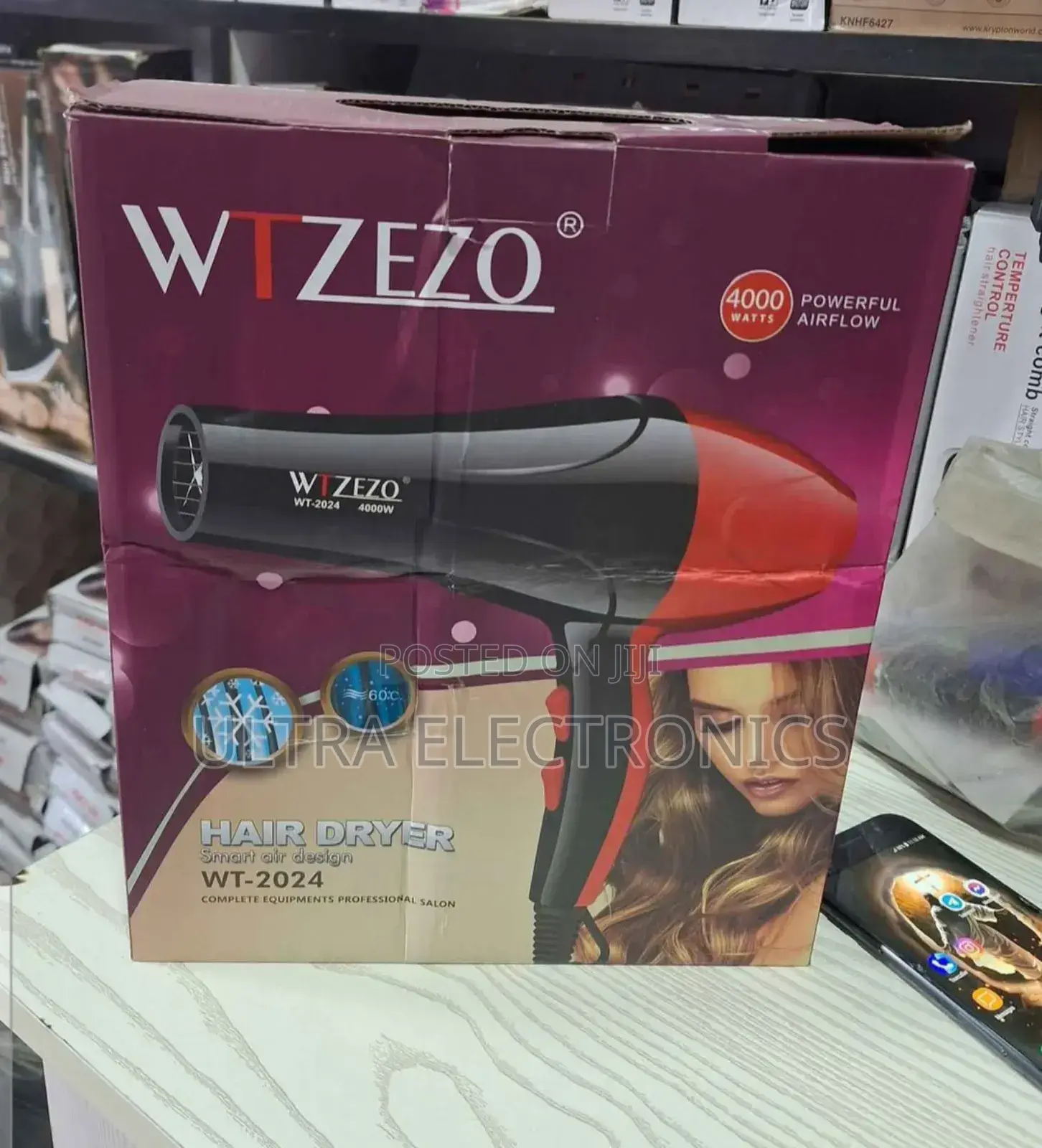 Hair Dryer, Potentially a Wtzezo Model.