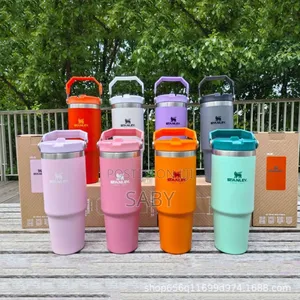 Vacuum Insulated Bottles