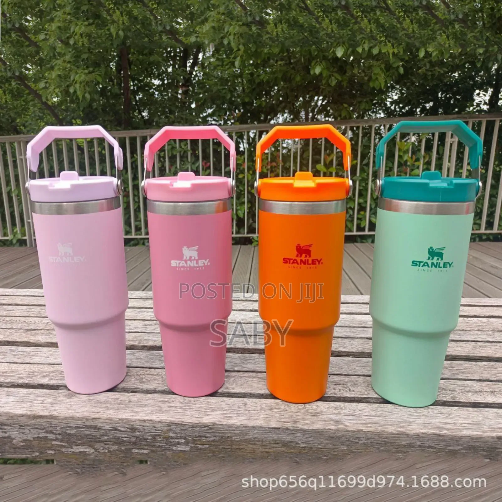 Vacuum Insulated Bottles