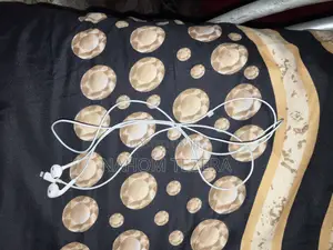 Wired Apple Earphones