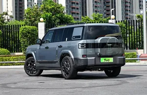 New BYD Leopard 7 2025 Gray