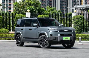 New BYD Leopard 7 2025 Gray