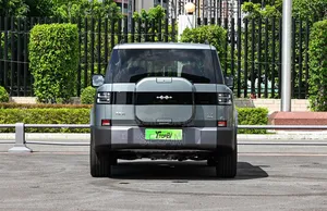 New BYD Leopard 7 2025 Gray