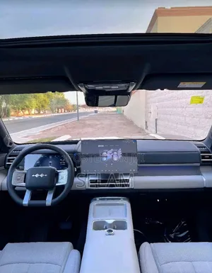 New BYD Leopard 7 2025 Gray