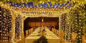 480 Led Decorative String Light
