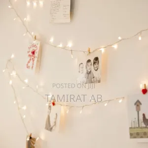 480 Led Decorative String Light
