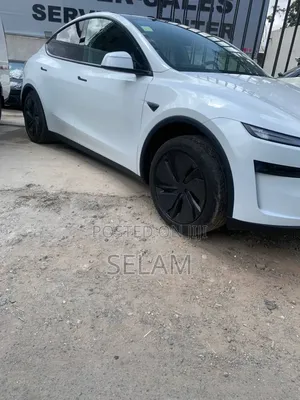 New Tesla Model Y Performance AWD 2025 White