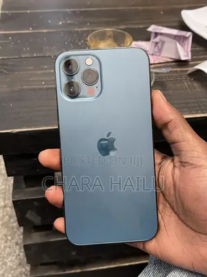 Apple iPhone 12 Pro Max 256 GB Blue