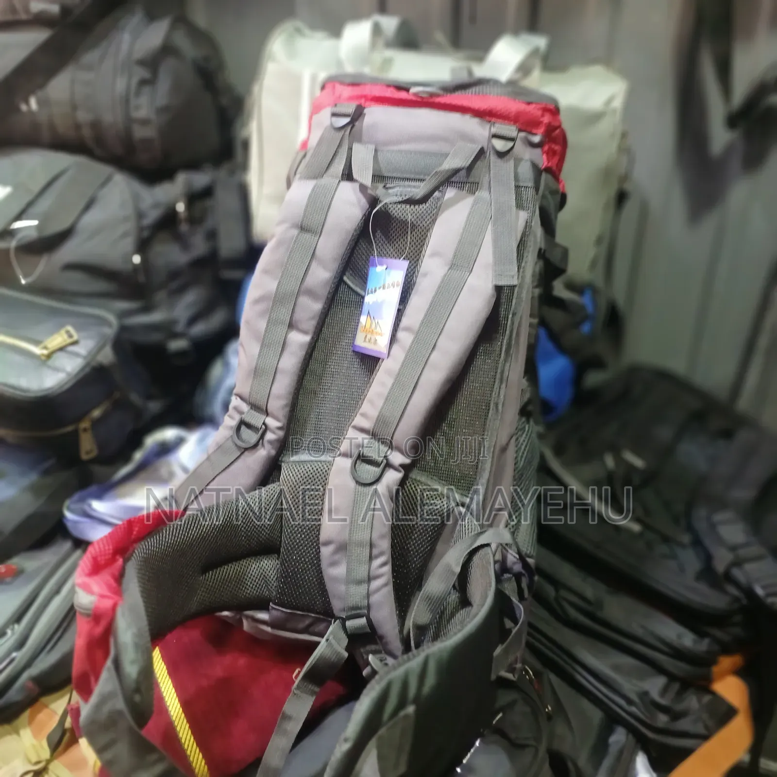 Hiking Bag