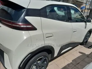 BYD Seagull 2024 White