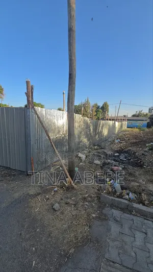 አስቸካይ የሚምጥ ባታ