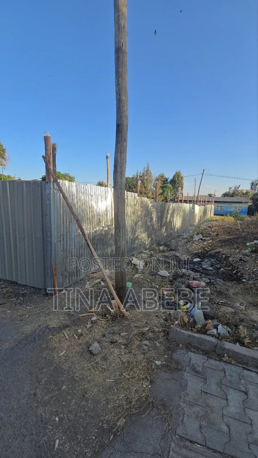 አስቸካይ የሚምጥ ባታ