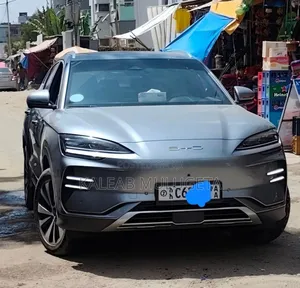 BYD Song Plus EV FWD 2024 Gray