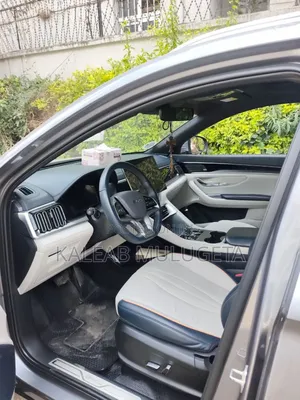 BYD Song Plus EV FWD 2024 Gray