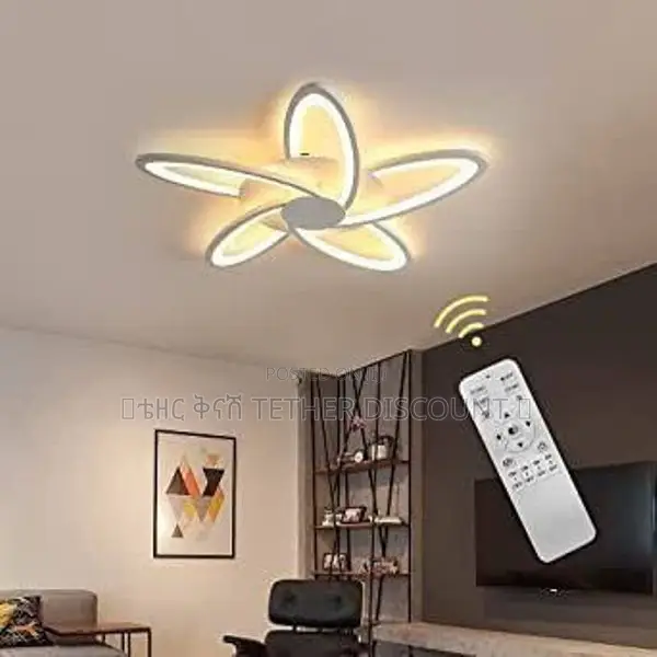 Led Dimmable Flower Shape Light ከውጪ የገባ የጣራ መብራት ጌጥ 70by70cm
