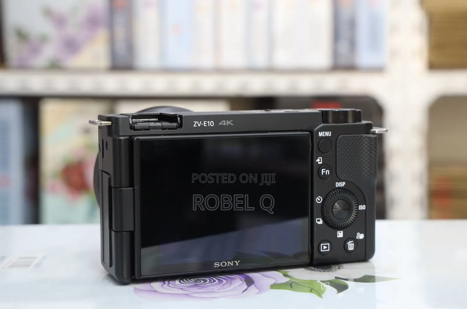 Sony Zv-E10