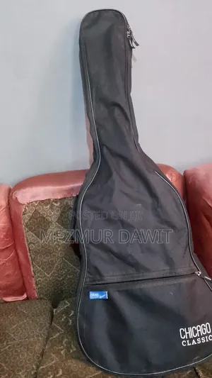 Fender Telecaster Electric Guitar