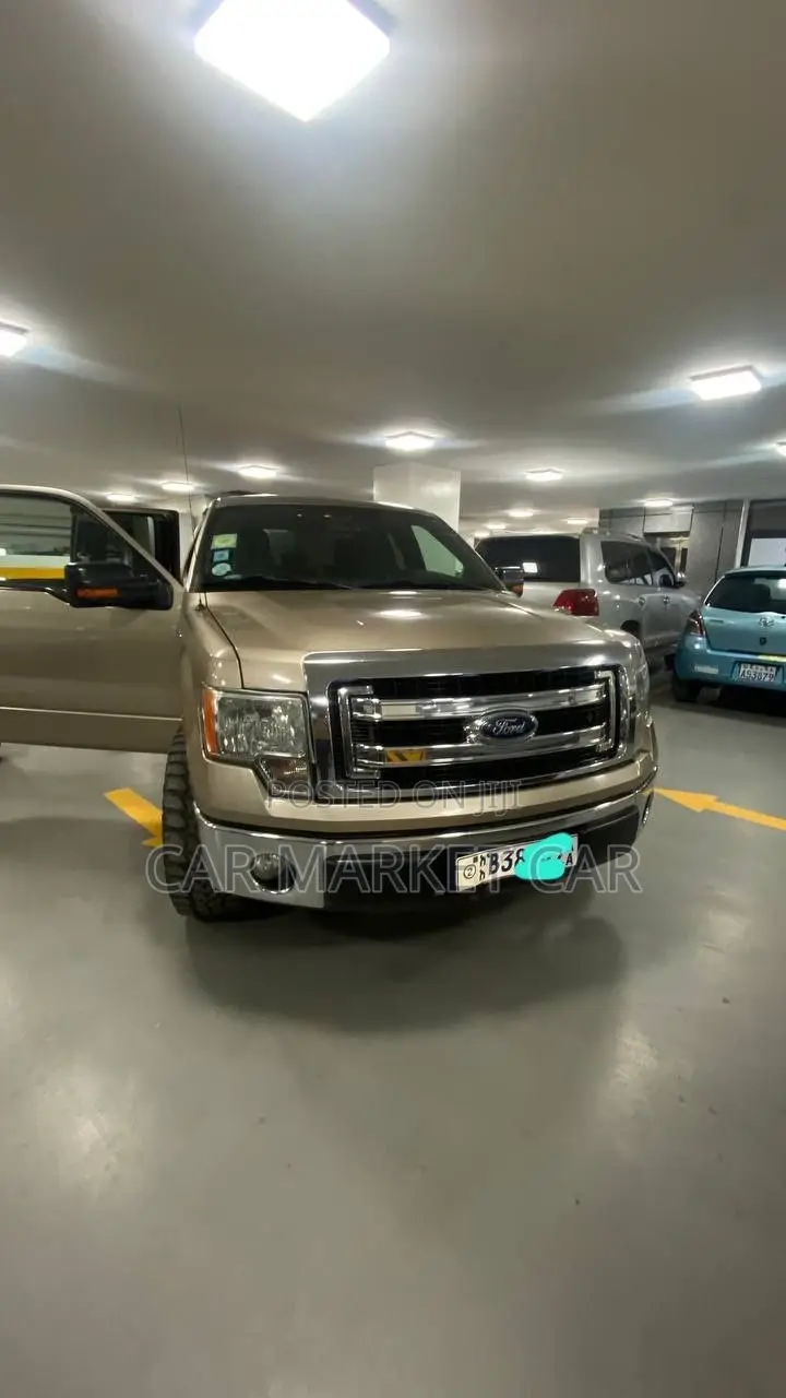 Ford F-150 FX2 2dr Regular Cab 6.5 ft. SB (3.5L 6cyl Turbo 6A) 2014 Gold