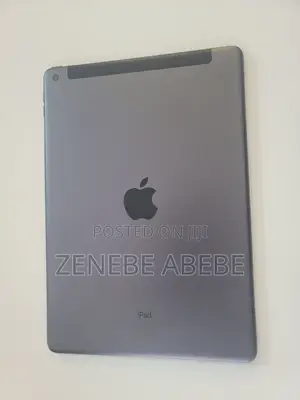 Apple iPad 10.2 (2019) 256 GB Gray