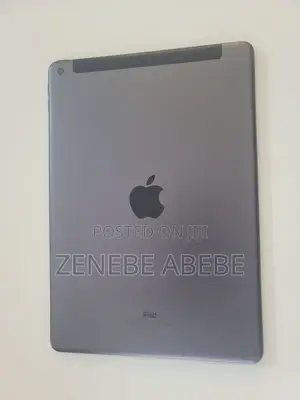 Apple iPad 10.2 (2019) 256 GB Gray