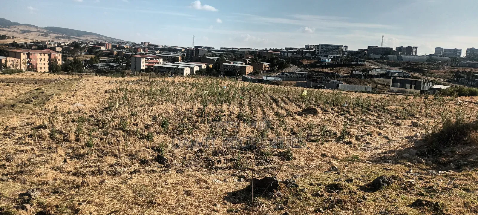 ሊዝ መሬት የሚሸጥ ለሚ ኩራ ወረዳ 04