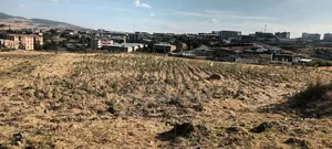 ሊዝ መሬት የሚሸጥ ለሚ ኩራ ወረዳ 04