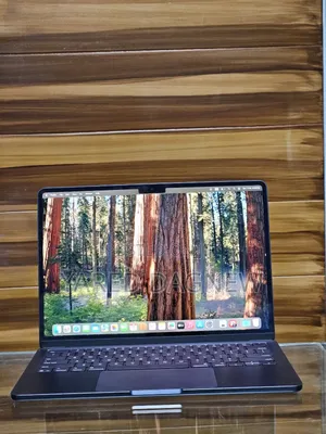 New Laptop Apple MacBook Air 2025 M4 13-Inch 16GB Apple M4 SSD 256GB