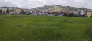 ለሽያጭ የቀረቡ ባዶ መሬቶች ( ለግንባታ የሚሆኑ በ 8ኛ ዙር ሊዙ ጨረታ ሽያጭ የተገኙ መሬቶች)