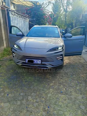 BYD Song Plus 2024 Gray