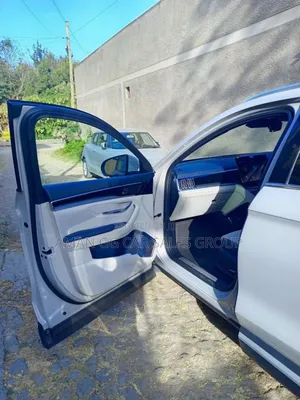 BYD Song Plus 2024 Gray