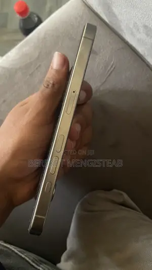 Apple iPhone 16 Pro 256 GB Silver