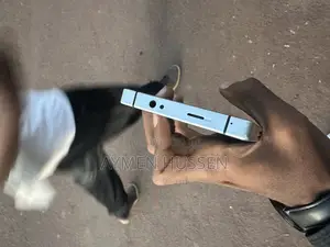 Mobile Phone 512 GB Silver