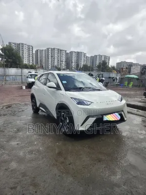 BYD Seagull 2025 White