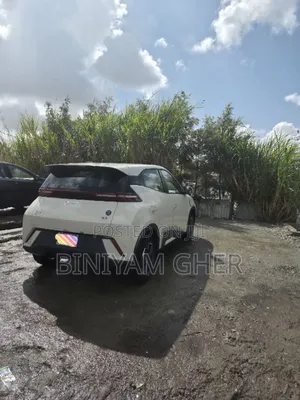 BYD Seagull 2025 White