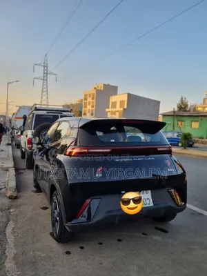 BYD Seagull 2024 Black