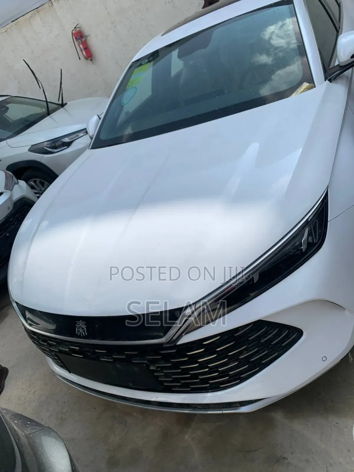 New BYD Qin L DM-i 2024 White