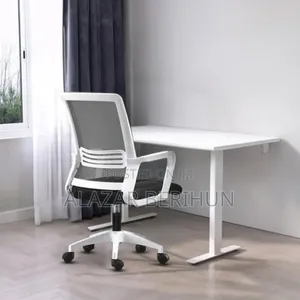 Best Mid Back Secretary Office Chair
