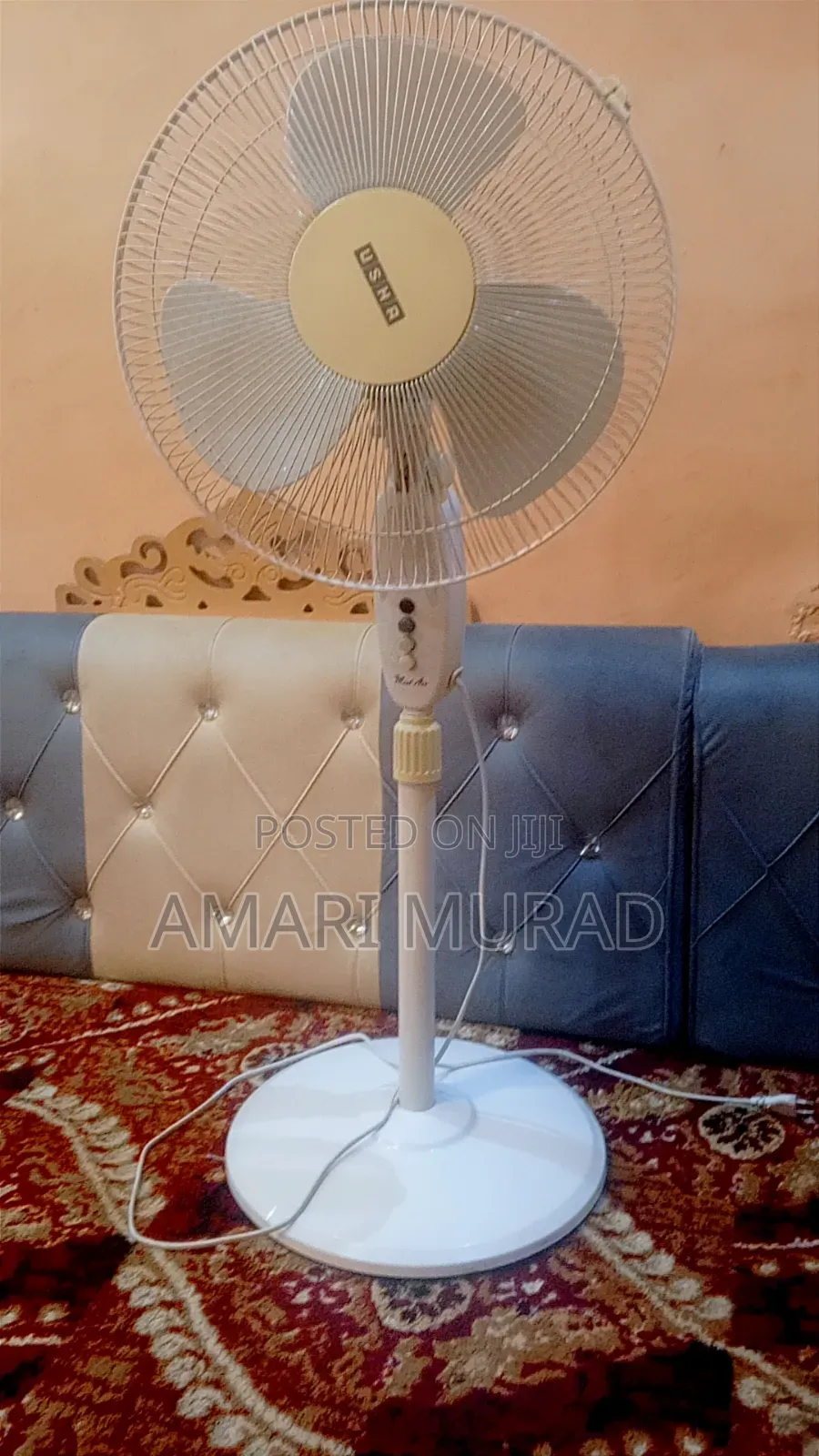 ትልቁ ንፋስ ማቀዝቀዣ Fan