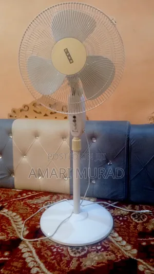 ትልቁ ንፋስ ማቀዝቀዣ Fan