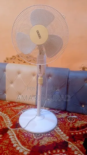 ትልቁ ንፋስ ማቀዝቀዣ Fan