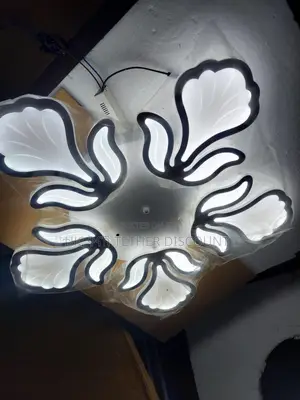 Led Dimmable Flower Shape Light ከውጪ የገባ የጣራ መብራት ጌጥ 70by70cm