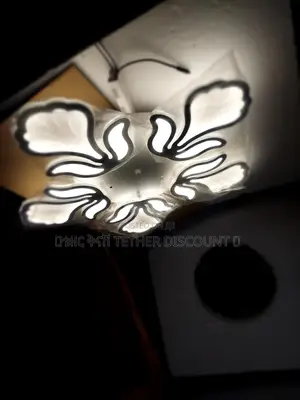 Led Dimmable Flower Shape Light ከውጪ የገባ የጣራ መብራት ጌጥ 70by70cm